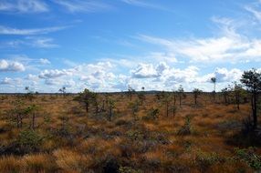 panorama of the steppe in Sweden