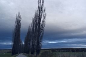 landscape before storm