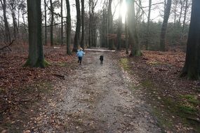 girl with a fog running in forest