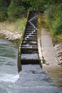fish pass in switzerland