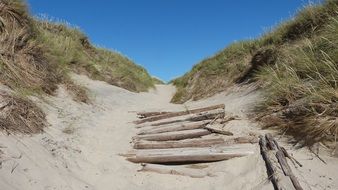 abandoned walkpath in north sea dunes