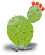 green cactus as a graphic image
