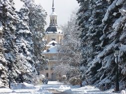 Church in a snowy forest