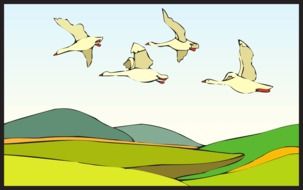 graphic image of geese in flight over picturesque landscape