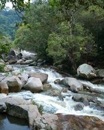 cascading creek in the rainforest