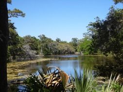 Beautiful lake among the green and yellow trees in a spring park