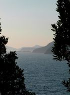 Landscape of the trees and coast