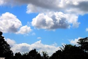 white clouds and blue sky above the tops of trees