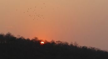 sunset glow in the forest of Tattihallia India