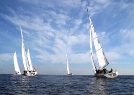 sailboats in the sea on the coast in Sicily