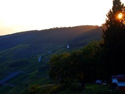 orange sun through a tree on a green hill