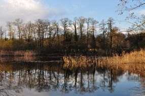 reflected in the water of the autumn landscape