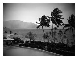 black and white photo of a storm on Hyman Island in Australia