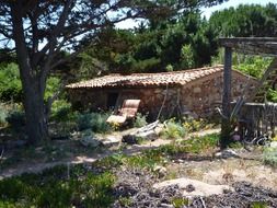 landscape of rural building in corsica