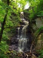 Landscape of waterfall in a green forest