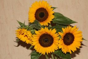 bouquet of sunflowers
