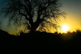 golden sun of the tropics in Namibia