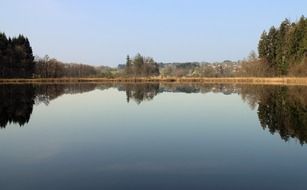 mirror water of a forest lake