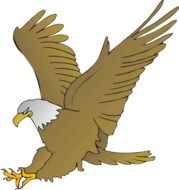 drawing of an eagle with spread wings