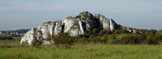 scenic grey rock on green meadow, poland, jerzmanowice