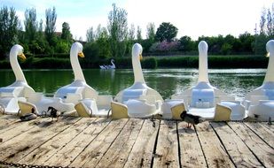 picture of the boats in a shape of the geese are on a pond