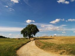 magnificent road landscape
