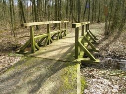 Bridge made of the wood