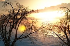 bright winter sunset