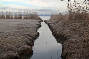 drainage ditch in the swamp