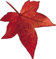 painted red maple leaf