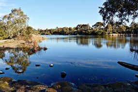 Trees Reflection on lake australia