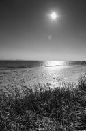 Sun over sea beach landscape horizon