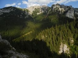 mountains with green trees in poland
