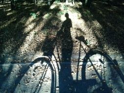 Shadow of the bike in the forest