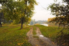 walking path in the autumn forest