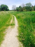 road through a green meadow on a background of the picturesque landscape