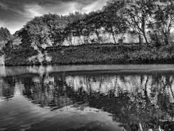 Black and white photo with the trees near the lake
