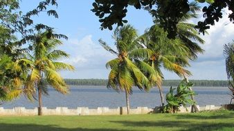 Landscape of the Cayenne river