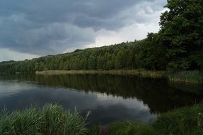 lakeside nature
