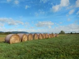 Landscape of the field in nature