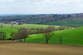 landscape field hills