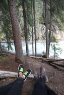 hikers having rest in a forest, canada, banff