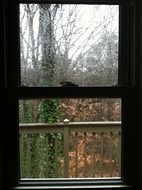 rain drops on open window to garden at fall