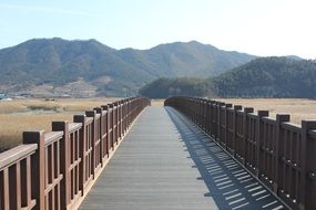 wooden road in the field