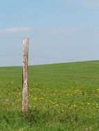 barbed wire on a green meadow