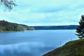 landscape of a river with drinking water