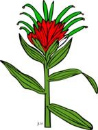 red plant draw