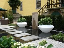 pond in the country garden