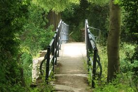 fascinating bridge