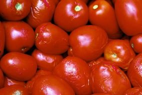 macro view of red tomato vegetables